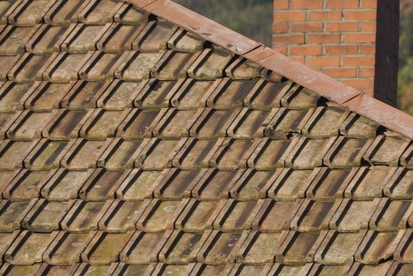 Farb-Detailaufnahme einer Dachfläche mit roten Falzziegeln 