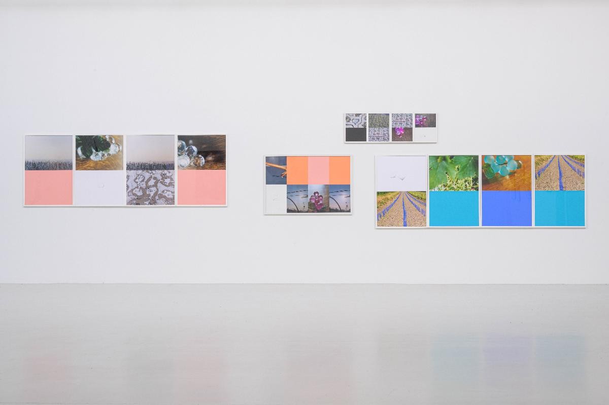Ausstellungsansicht der Arbeiten "Exursion Nr. 14" und "Das Terrain sondierend Nr. 6". Entstanden während Spaziergängen in Weinbergen in Ihrigen, Verbindung von Fotografie und Aquarell