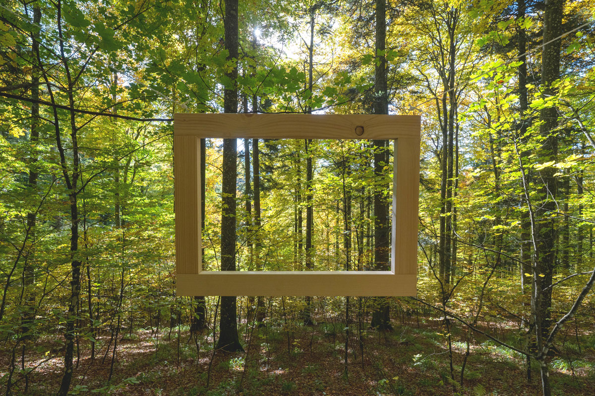 Blick durch einen Holzrahmen in den Wald