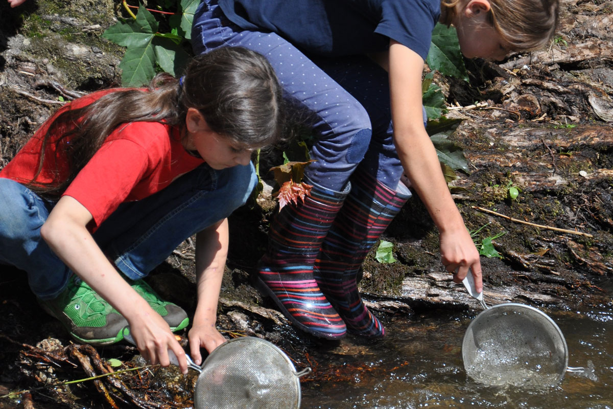Kinder sieben das Wasser