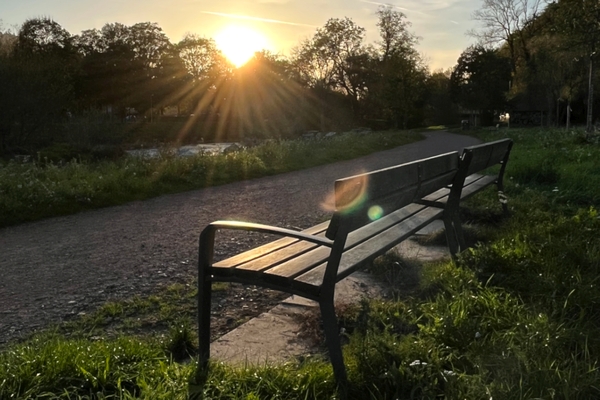 Bank am Wegesrand im Sonnenuntergang
