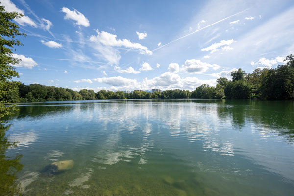 Weiher mit bewachsenem Ufer, im Hintergrund Wohngebäude