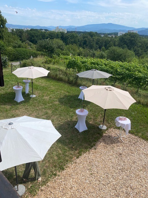 Sektempfang im Garten