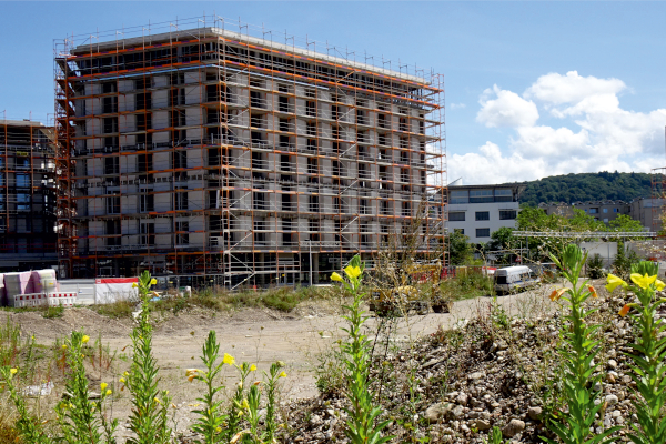 Biodiversitäts-Check urbaner und suburbaner Freiräume (BDC), Foto: J. Trautner Baustelle - Erdhaufen mit blühenden Wildpflanzen und Neubau mit Gerüst