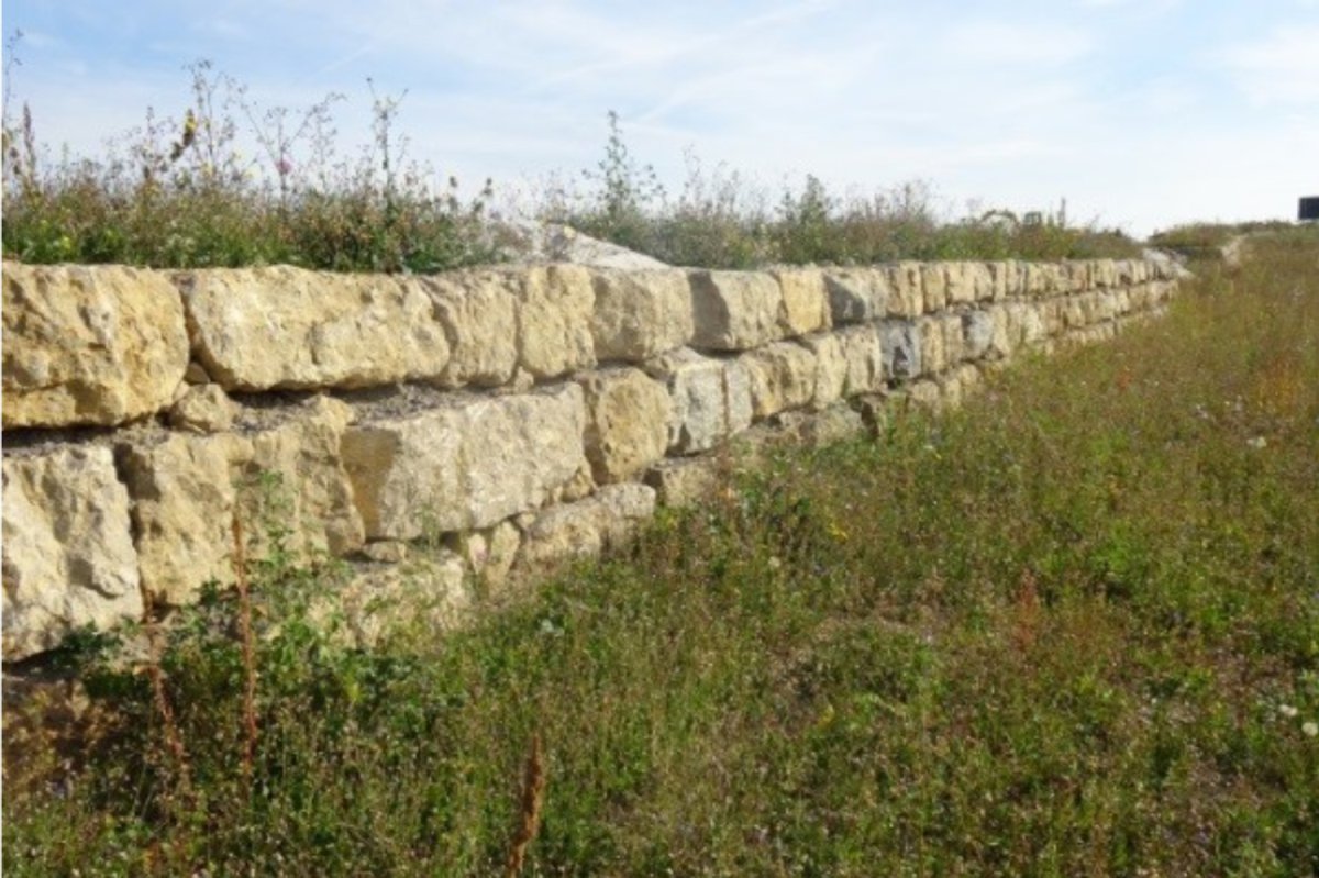 Gras mit langer Sandstein-Mauer