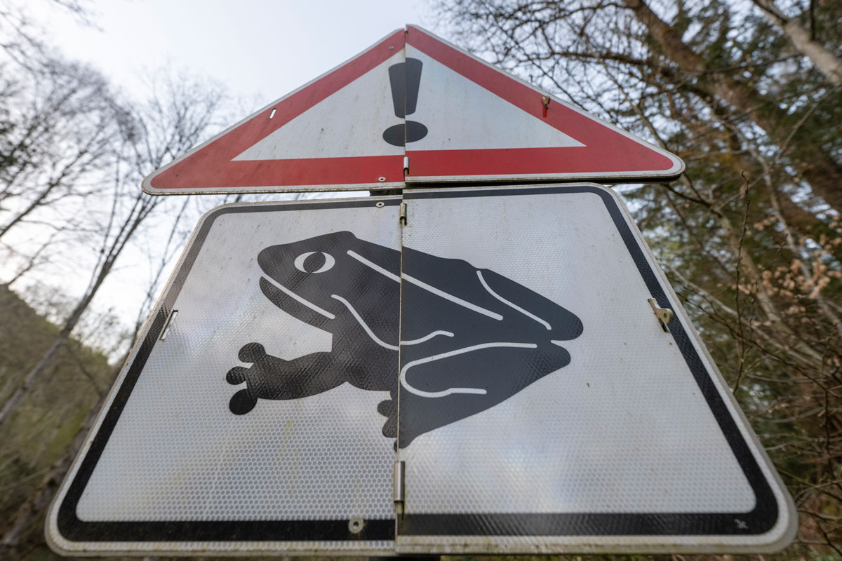 Warnschild mit Kröte zur Amphibienwanderung