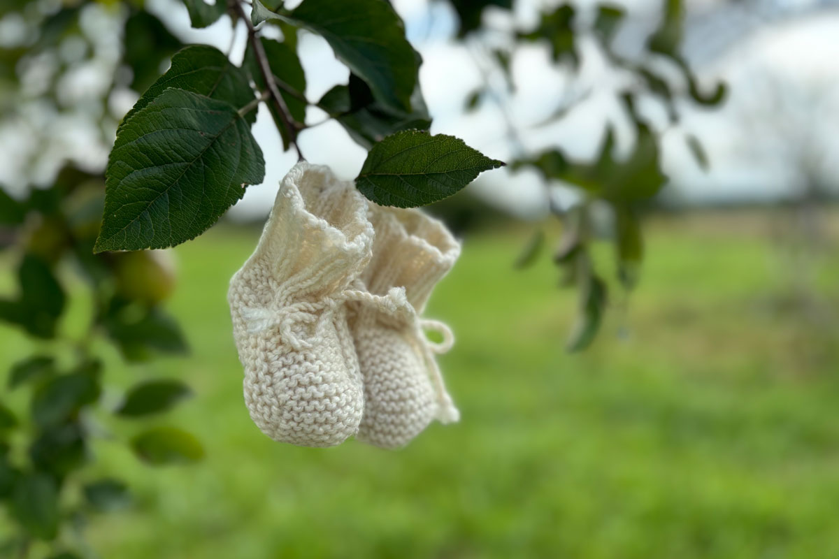 Babyschuhe hängen an einem Kirschbaum