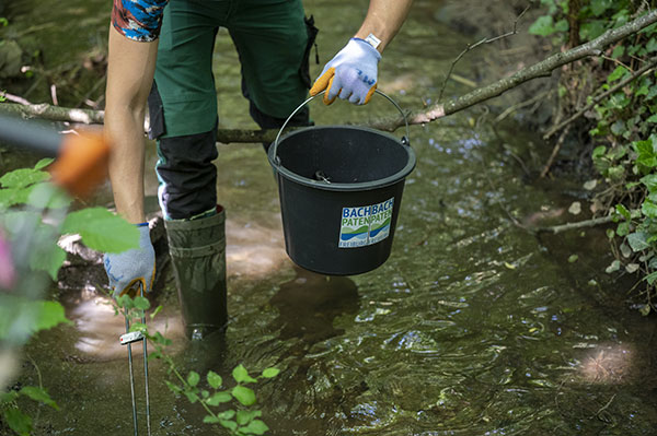 Frau mit vollem Einkaufskorb vor einem Wohnhaus