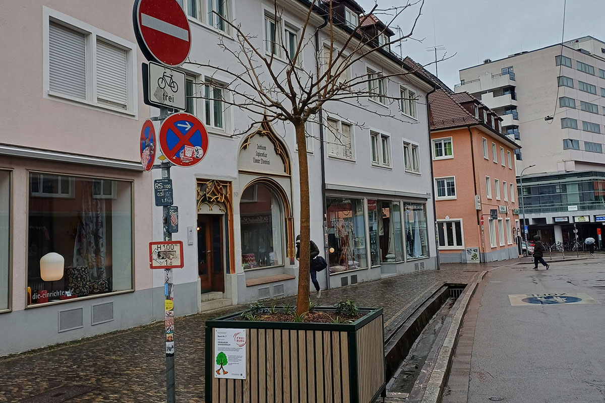 Wanderbäume in der Herrenstraße