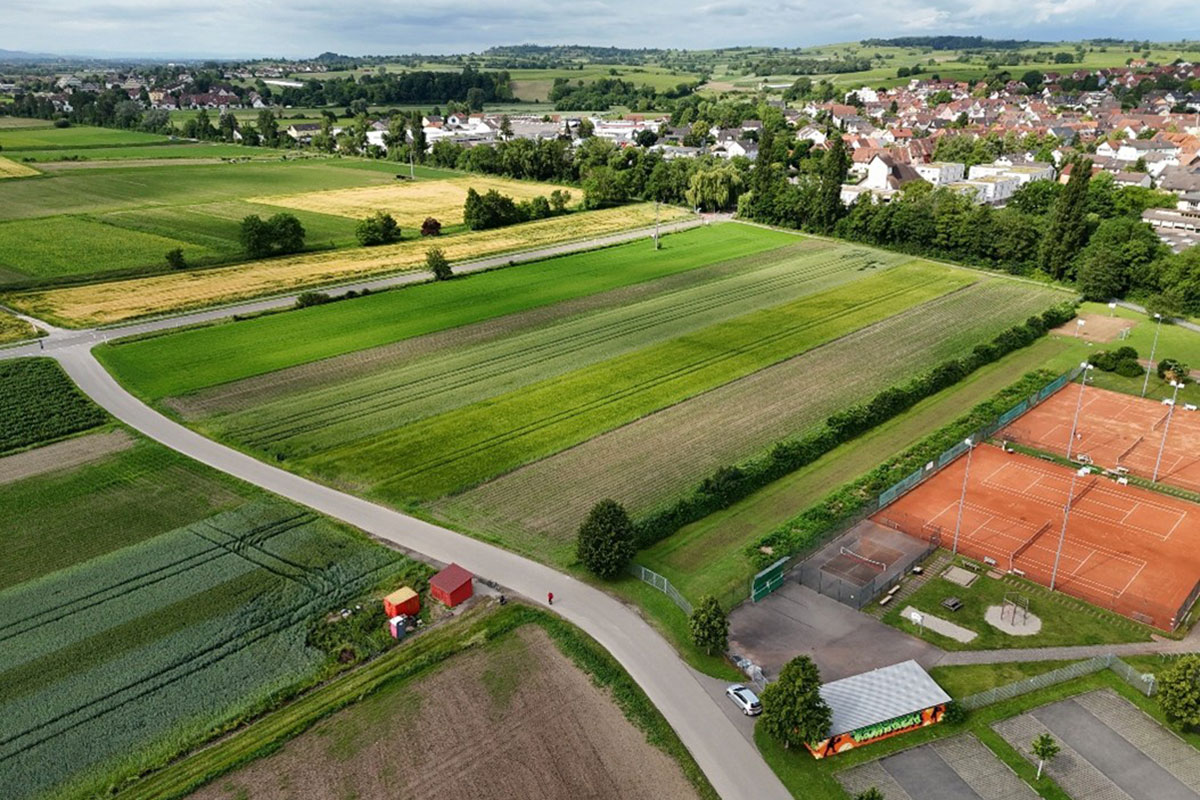 Luftbild Ortseingang Opfingen (Foto IBA Umweltplanung – Institut für Biotopverbund und Artenschutz)