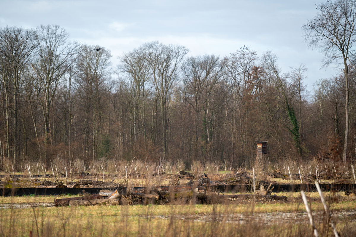 Hochsitz am Waldrand