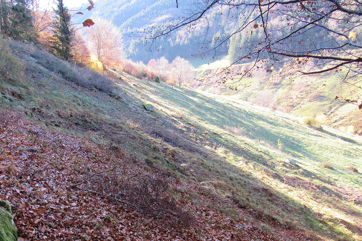 Kappler Täler