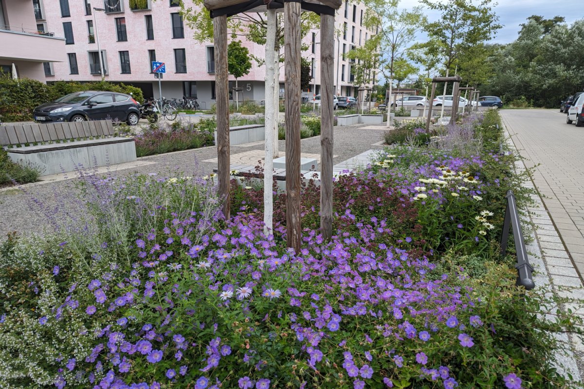 Blühende grüne Bereiche mit Sitzbänken und Spielbereich im Wohngebiet