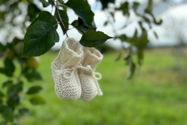 Schild: Naturschutzgebiet