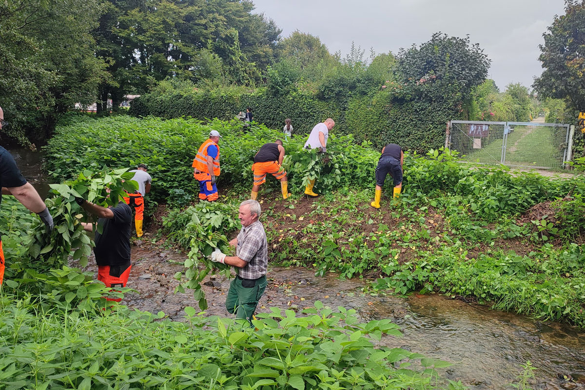 Ein Bach wird freigeschnitten von Bäumen/Ästen/Laub