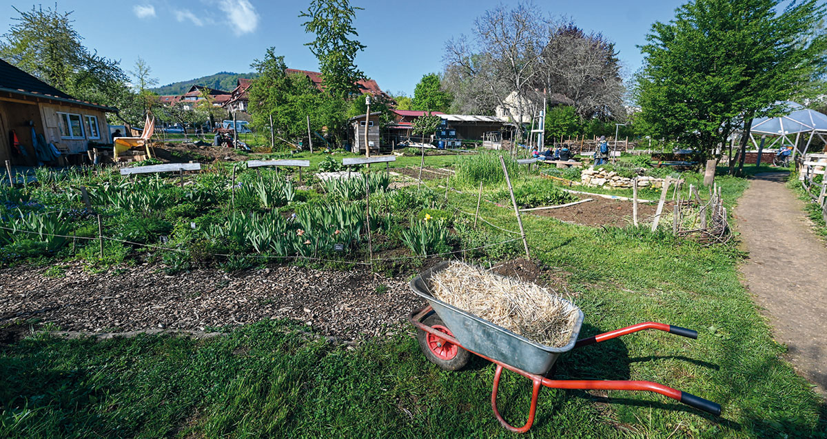 Gemeinschaftsgarten am Dorfbach (Vauban) - Soziale Projekte / Landwirtschaft: „Zusammen gärtnern“ ist ein interkultureller, inklusiver Gemeinschaftsgarten. Gemeinschaftsgarten am Dorfbach (Vauban) - Soziale Projekte / Landwirtschaft: „Zusammen gärtnern“ ist ein interkultureller, inklusiver Gemeinschaftsgarten.