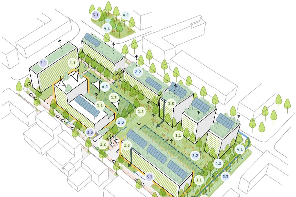 Versickerungsmulde mit Bäumen neben Neubau