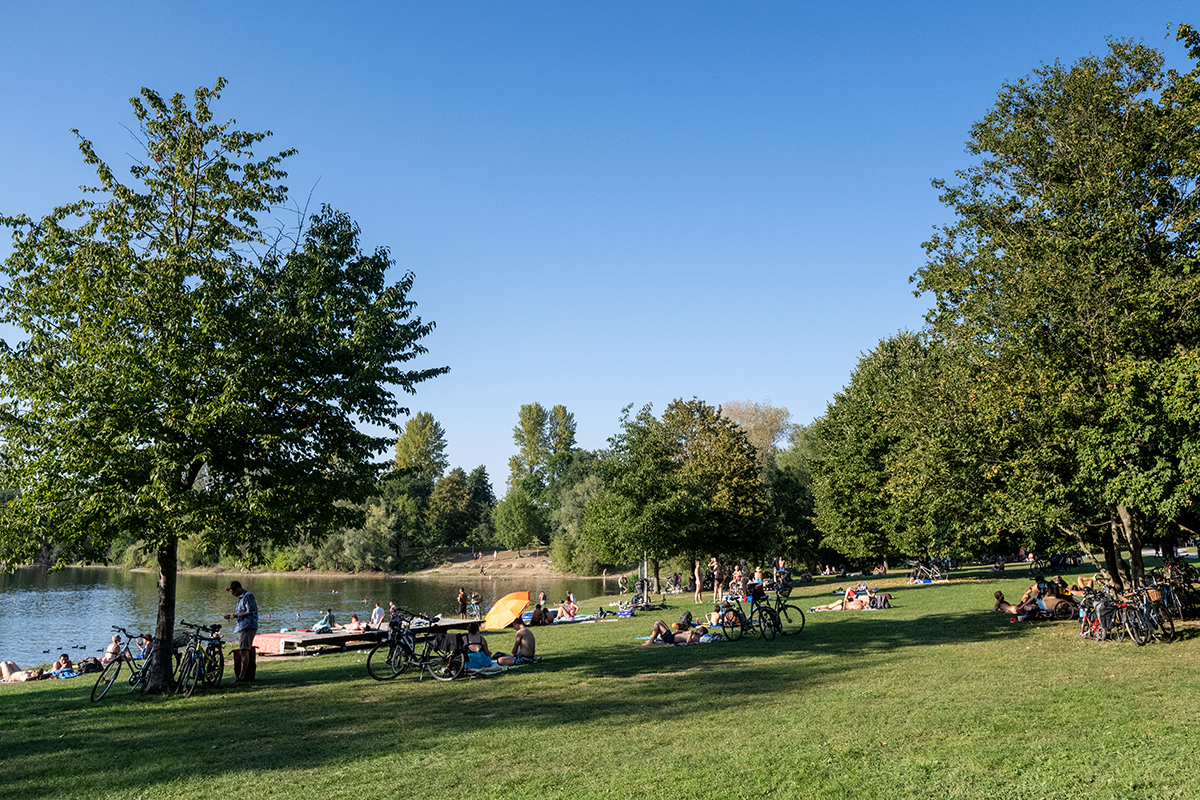 Großansicht des Dietenbachparks mit See, Bäumen und Liegewiese.