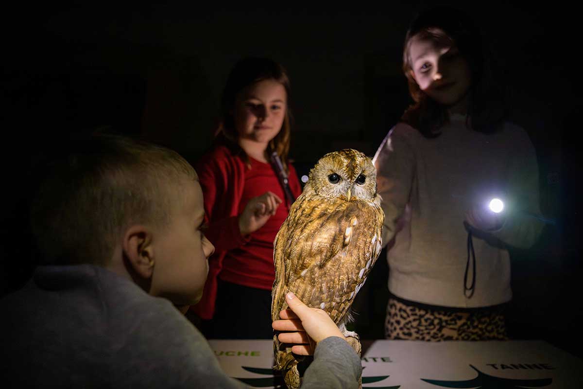 Ausgestopfte Eule, beleuchtet bei Nacht, mit drei Kindern