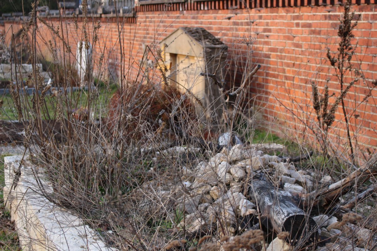 Altholz, Steine und Gestrüpp in einem Beet an der Friedhofsmauer