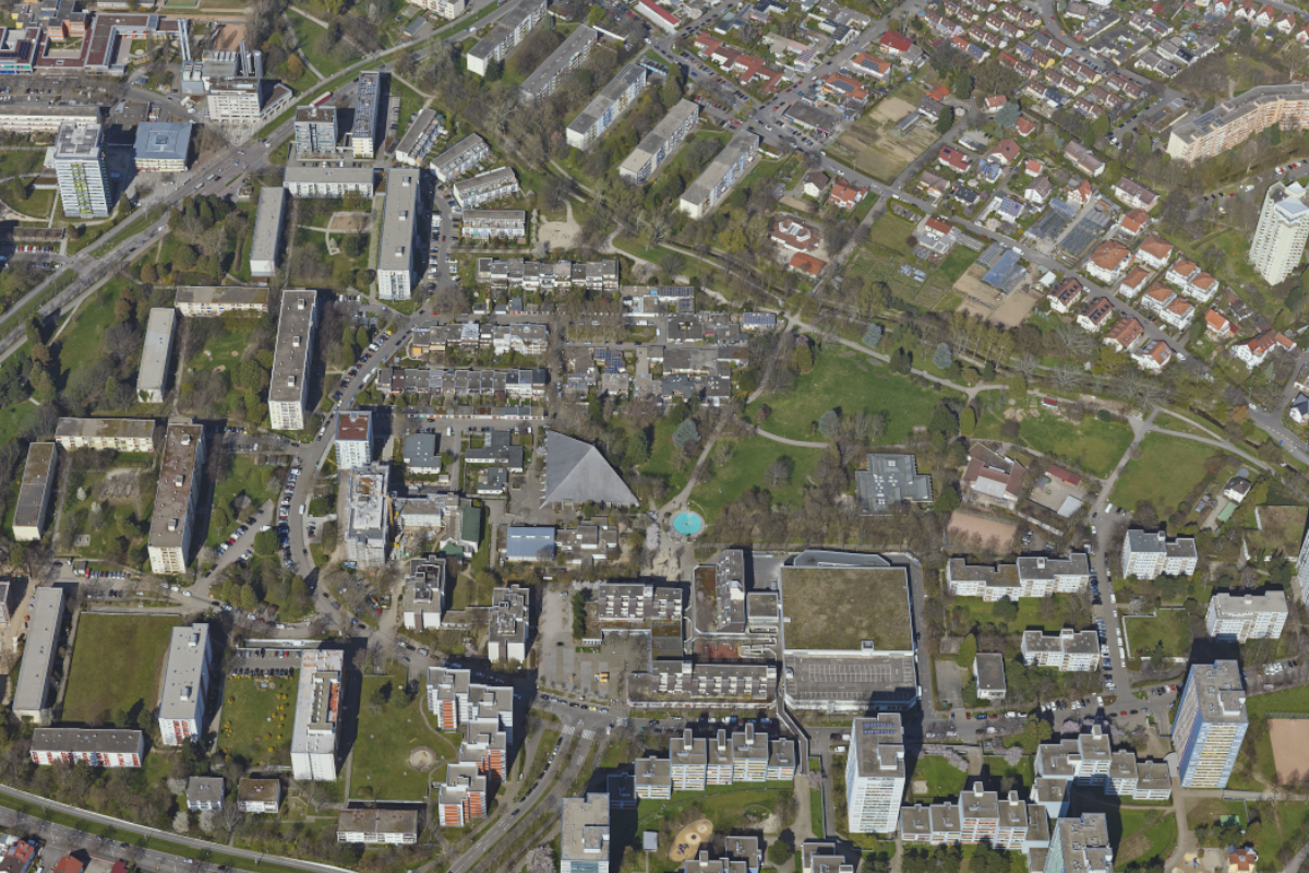 Grünanlage am Dorfbach, Platanenhain