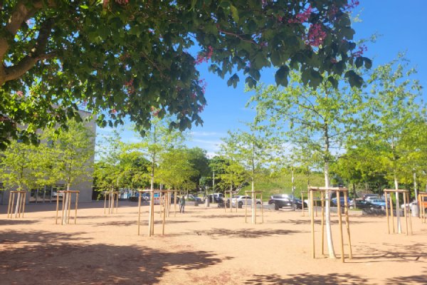 Platz mit Bäumen