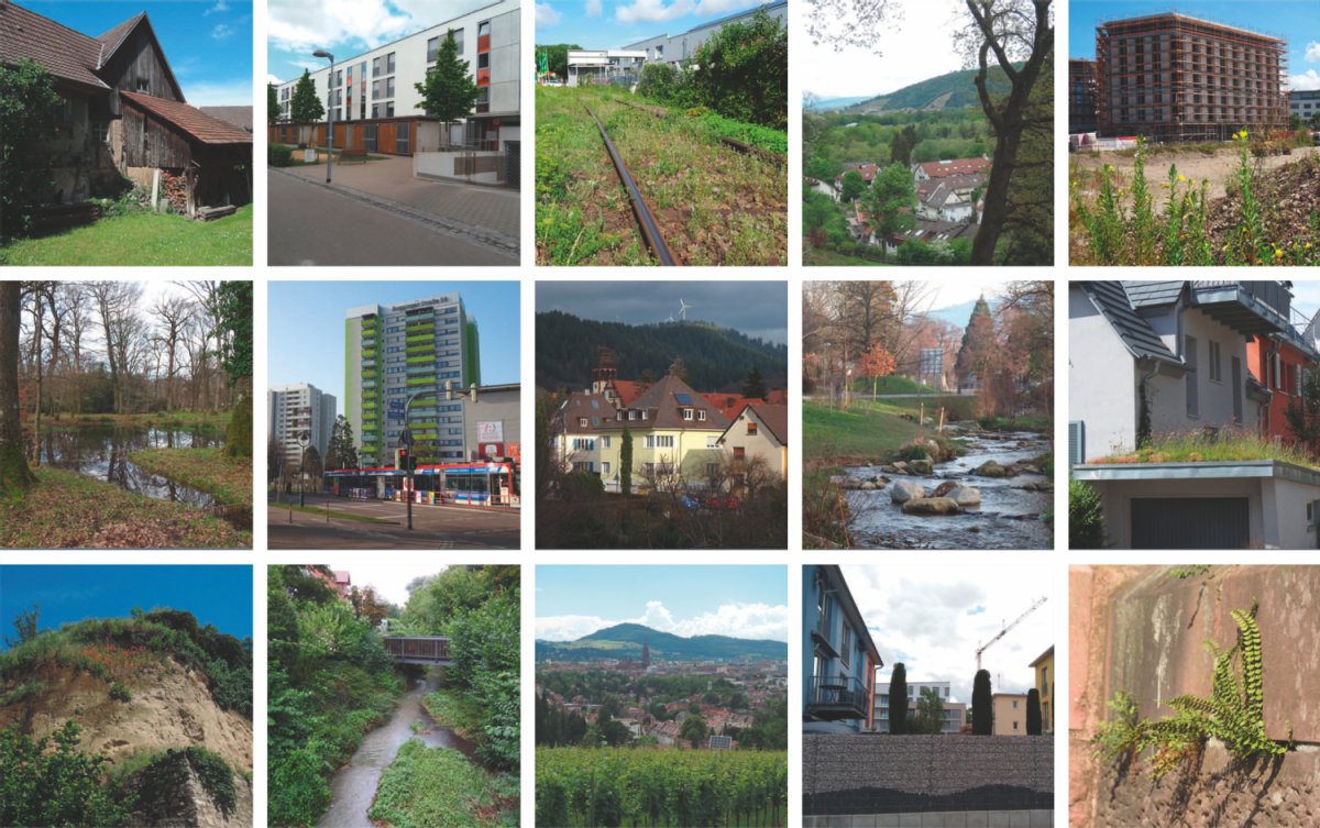 verschieden Bilder: alte Scheune, Straßenzug Neubau, Bahgleis mit Unkraut, Bergige Landschaft mit Ortschaft, Weiher, Steinmauer mit Wildwuchs u.v.m. mit 