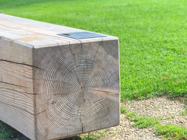 Holzbank