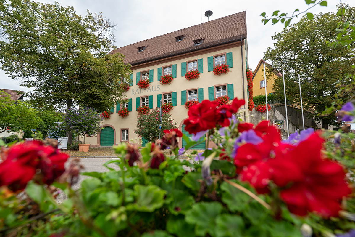 Das Rathaus von Opfingen, unscharf im Vordergrund sind Geranien zu sehen