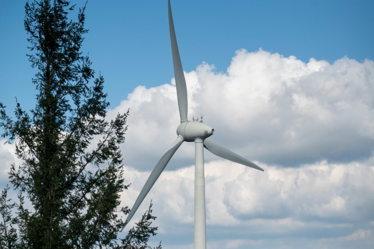 Spitze eines Windrads mit Rotorblättern von hinten links, dahinter leicht bewälkter Himmel. Links vom Windrad ist eine Baumkrone zu sehen.