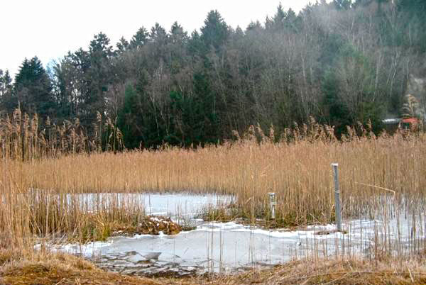 Teich in Kappel Stolberger Zink