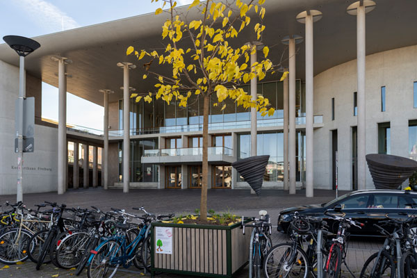 Wanderbäume vor dem Konzerthaus