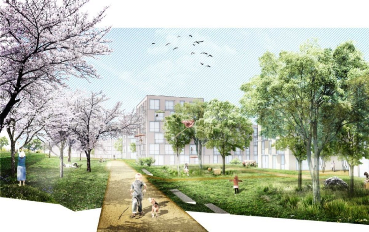 Gehweg Kind und Hund, rechts und links Wiesen, Bäume und in der Ferne Gebäude