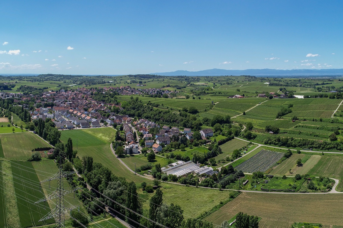 Wo kann eine neue weiterführende Schule am Tuniberg entstehen? Landschaftsbild mit landwirtschaftlichen Flächen, Baumreihen an Wegen und einem Ort in de Ferne