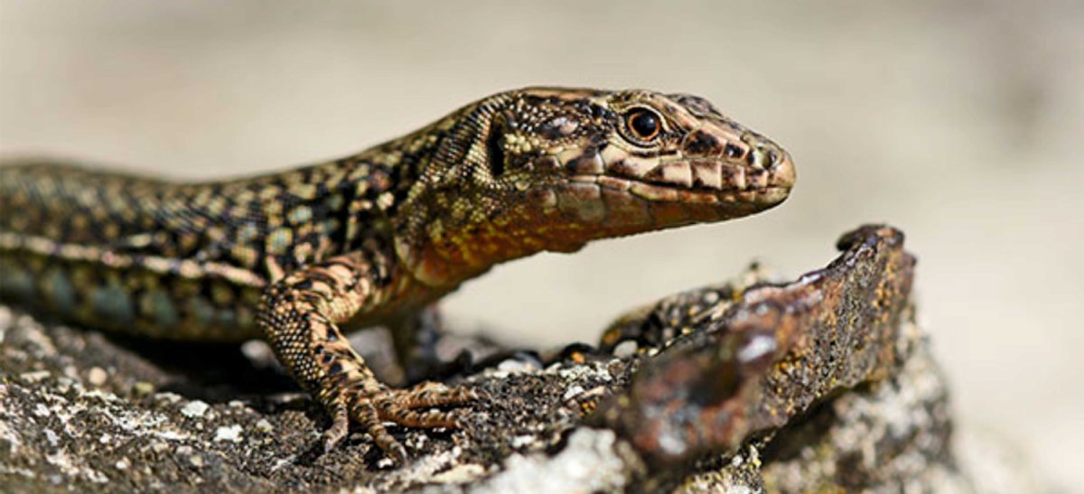 AdobeStock_288902176_Wiltrud