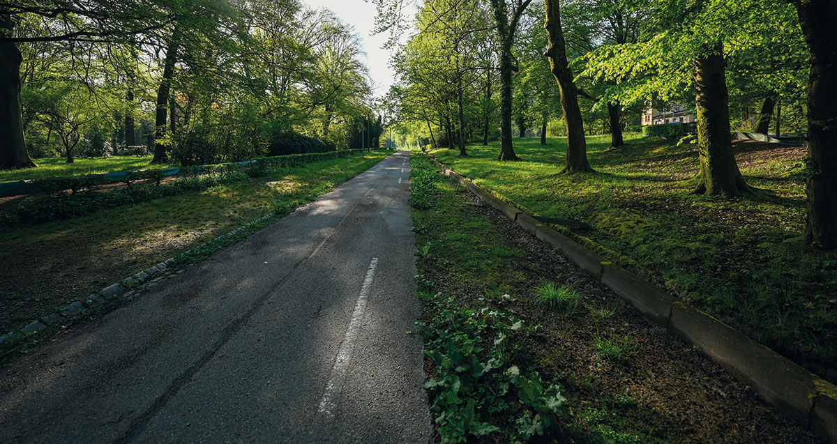 Straßenrückbau Waldsee - Erholung/Freizeit – Vorrang Fuß-/Radverkehr: Die Straße wurde zugunsten des Rad-/Fußweg rückgebaut (graue Infrastruktur grüner machen). Zudem befinden sich hier geschützte Biotope. Straßenrückbau Waldsee - Erholung/Freizeit – Vorrang Fuß-/Radverkehr: Die Straße wurde zugunsten des Rad-/Fußweg rückgebaut (graue Infrastruktur grüner machen). Zudem befinden sich hier geschützte Biotope.