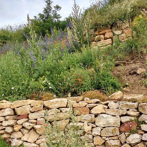 Trockenmauer
