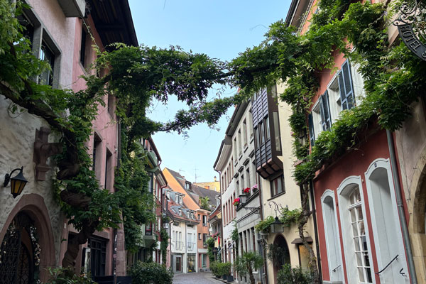 Konviktstraße in der Freiburger Innenstadt mit Rankpflanzen entlang der Gebäude